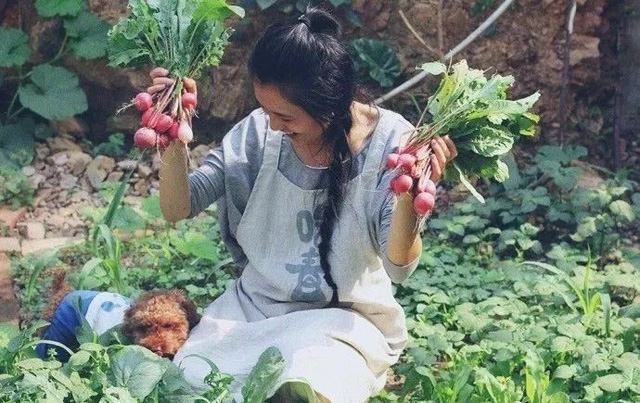 Cô gái trẻ bỏ phố về quê, sống những ngày an yên trong nhà thuê cùng khu vườn đủ loại rau trái - Ảnh 2.