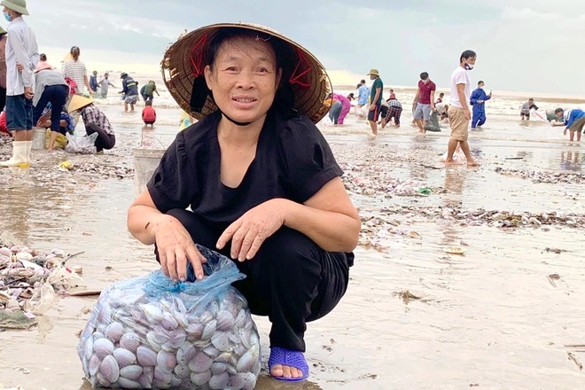 Hàng trăm người dân đổ xô đi vớt lộc biển sau lũ, kiếm tiền triệu một ngày - Ảnh 10.