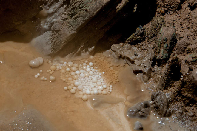 Lần đầu tiên có đoàn thám hiểm chạm tới đáy giếng địa ngục triệu năm tuổi ở Yemen - Ảnh 6.