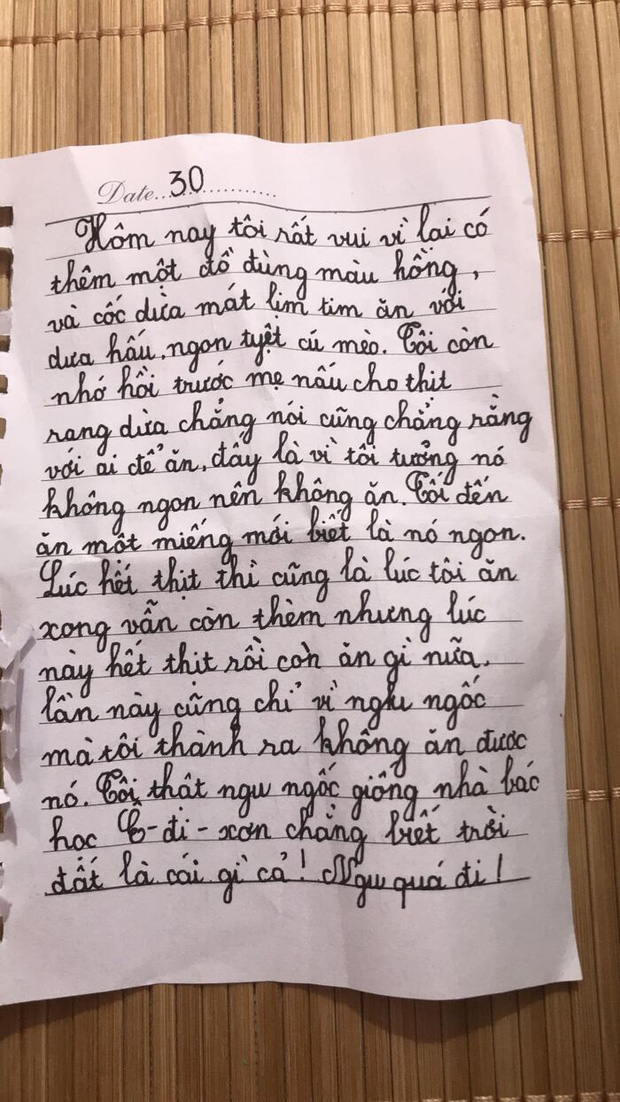 Bé gái lớp 2 viết nhật ký nói xấu cả thế giới, tự nhận ngu ngốc nhưng vẫn chốt 1 câu khiến dân tình cười ngất - Ảnh 2.