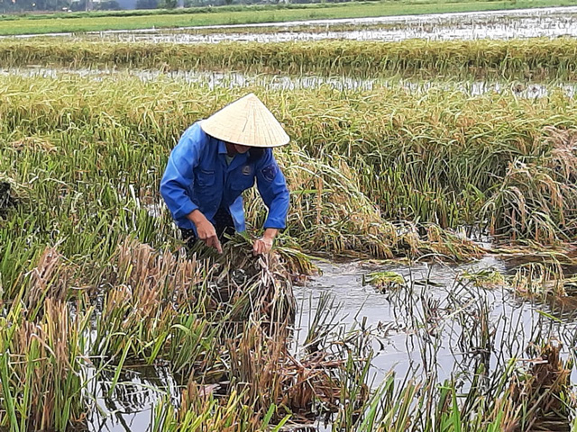 Hình ảnh đặc biệt: Người dân Thanh Hóa dùng tấm xốp làm thuyền đưa con đi học - Ảnh 8.