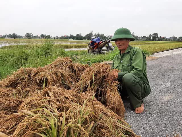 Hình ảnh đặc biệt: Người dân Thanh Hóa dùng tấm xốp làm thuyền đưa con đi học - Ảnh 9.