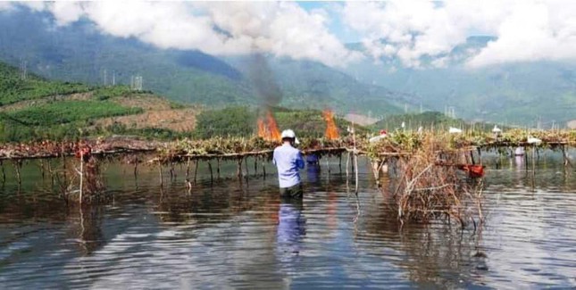 Phá hủy hàng nghìn cạm bẫy, giải cứu chim trời thoát nạn tận diệt - Ảnh 5.