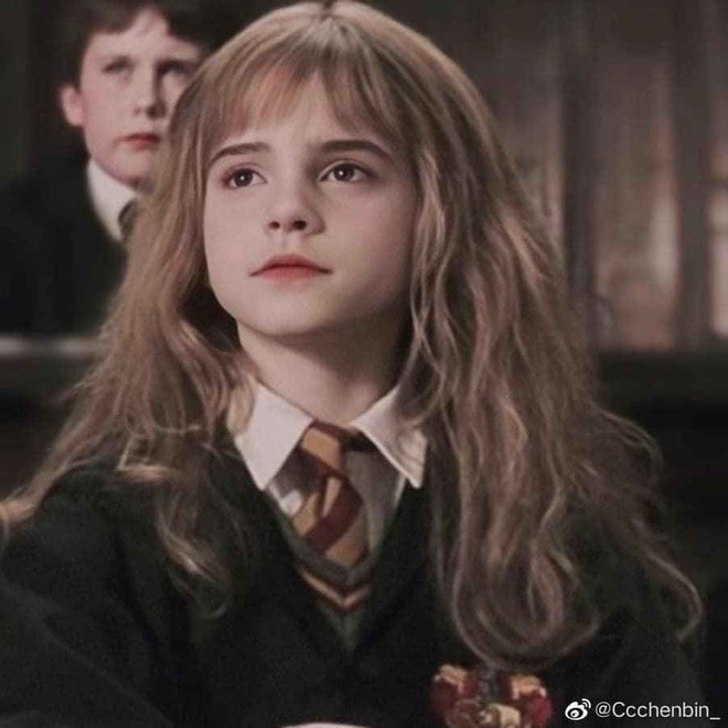 Hình nền : phim, Harry Potter, Emma Watson, Hermione Granger, bóng tối, Ảnh  chụp màn hình, Hình nền máy tính, Nhân vật hư cấu, hiệu ứng đặc biệt  3840x2160 - WallpaperManiac -