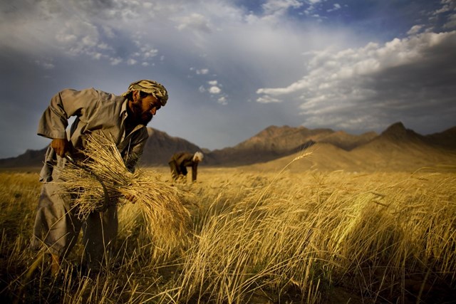 Từ vụ khủng bố 11/9 tại Mỹ: Afghanistan mắc kẹt trong vòng xoáy đau khổ - hy vọng - tuyệt vọng - Ảnh 6.