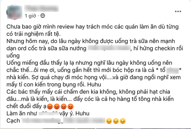 Phát hoảng trước loạt phốt ăn uống liên tiếp ở Hà Nội: Bánh Bảo Phương nhân côn trùng, vụ trà sữa kiến chưa hãi bằng vụ cuối cùng - Ảnh 3.