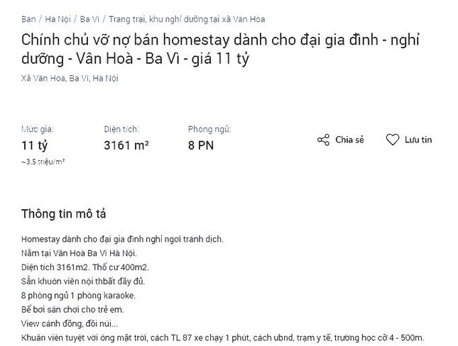  Hàng loạt homestay rao bán vì kiệt sức do dịch kéo dài  - Ảnh 2.