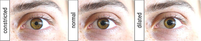 Phát hiện người đầu tiên trên thế giới có khả năng điều khiển đồng tử mắt hoàn toàn chủ động - Ảnh 2.