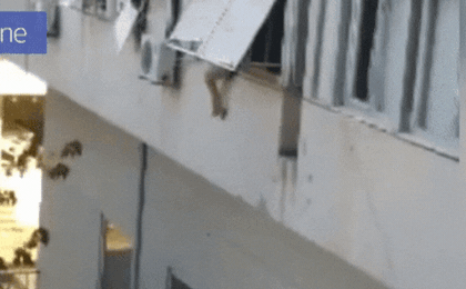 Bị tra tấn và cưỡng hiếp, cô gái trèo ra cửa sổ la hét hoảng loạn, những gì diễn ra sau đó gây ám ảnh tột độ