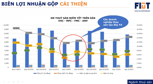 Ngành thủy sản đang trong nguy có cơ, yếu tố giá tiêu cực trong ngắn hạn sẽ đem lại cơ hội sinh lời tốt - Ảnh 2.