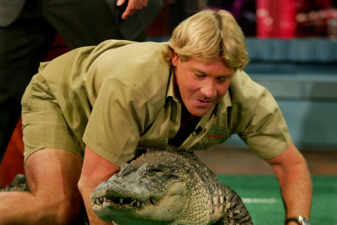 Cái chết nghiệt ngã của thợ săn cá sấu Steve Irwin: Nhà động vật học hàng đầu thế giới và câu chuyện sinh nghề tử nghiệp - Ảnh 2.