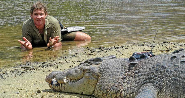 Cái chết nghiệt ngã của thợ săn cá sấu Steve Irwin: Nhà động vật học hàng đầu thế giới và câu chuyện sinh nghề tử nghiệp - Ảnh 8.