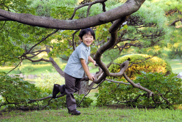 Hoàng tử bé Nhật Bản gây đốn tim vì siêu dễ thương ngày nào đã bước sang tuổi 15, liệu có “dậy thì thành công” như mong đợi? - Ảnh 7.