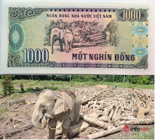 Những địa danh xuất hiện trên các đồng tiền Việt Nam - Ảnh 4.