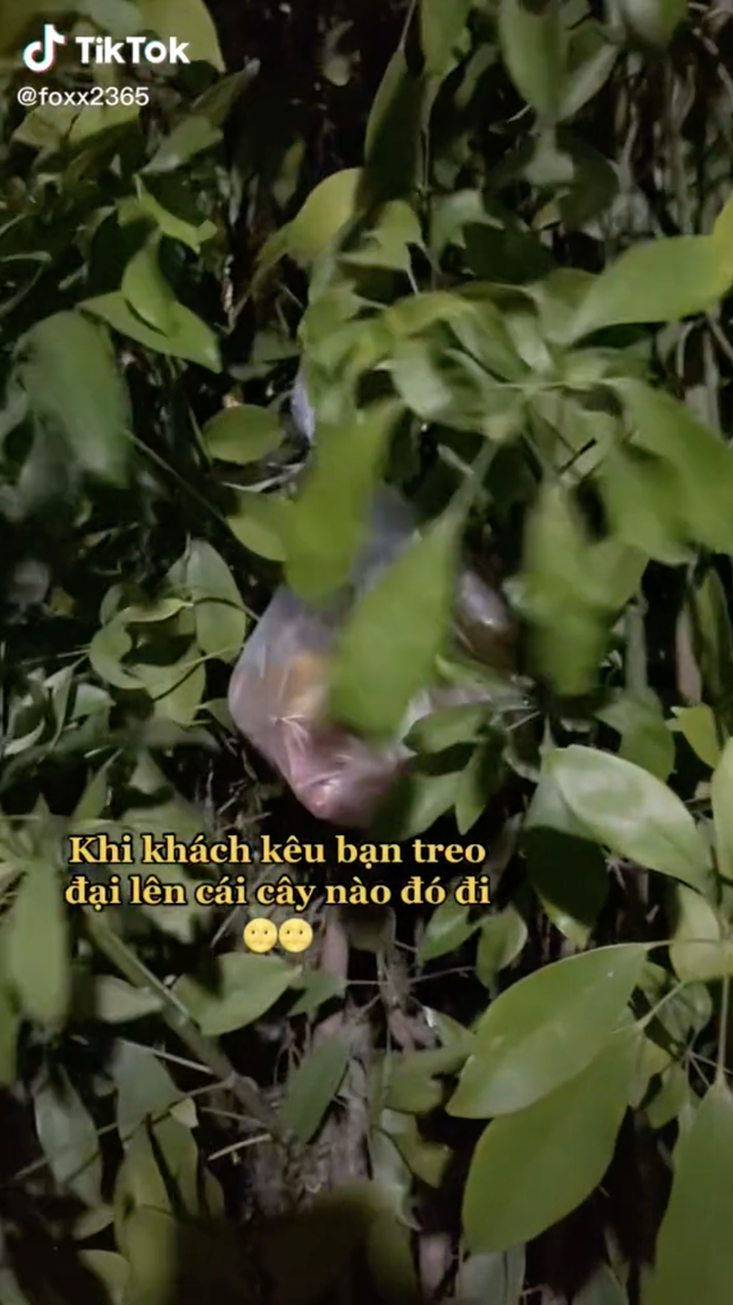 Shipper được dặn treo h&agrave;ng l&ecirc;n c&aacute;i c&acirc;y n&agrave;o đi v&agrave; c&aacute;ch xử l&yacute; khiến d&acirc;n mạng chưng hửng thốt l&ecirc;n: Rồi t&igrave;m tới năm sau hả? - Ảnh 3.