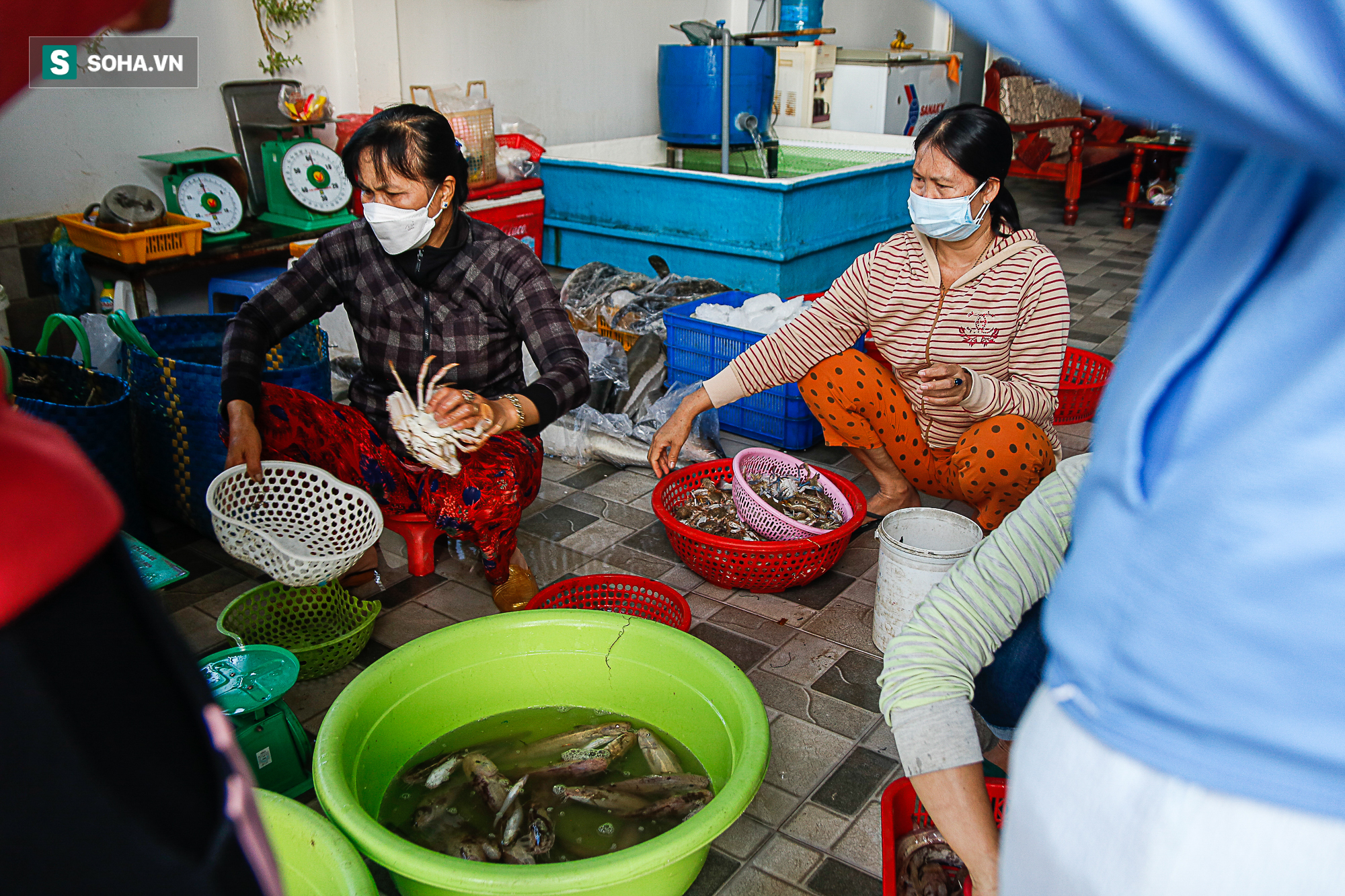 ‘Kiệt sức’ vì Covid-19, ngư dân Bình Thuận liều mình ra khơi giữa mùa biển động - Ảnh 11.