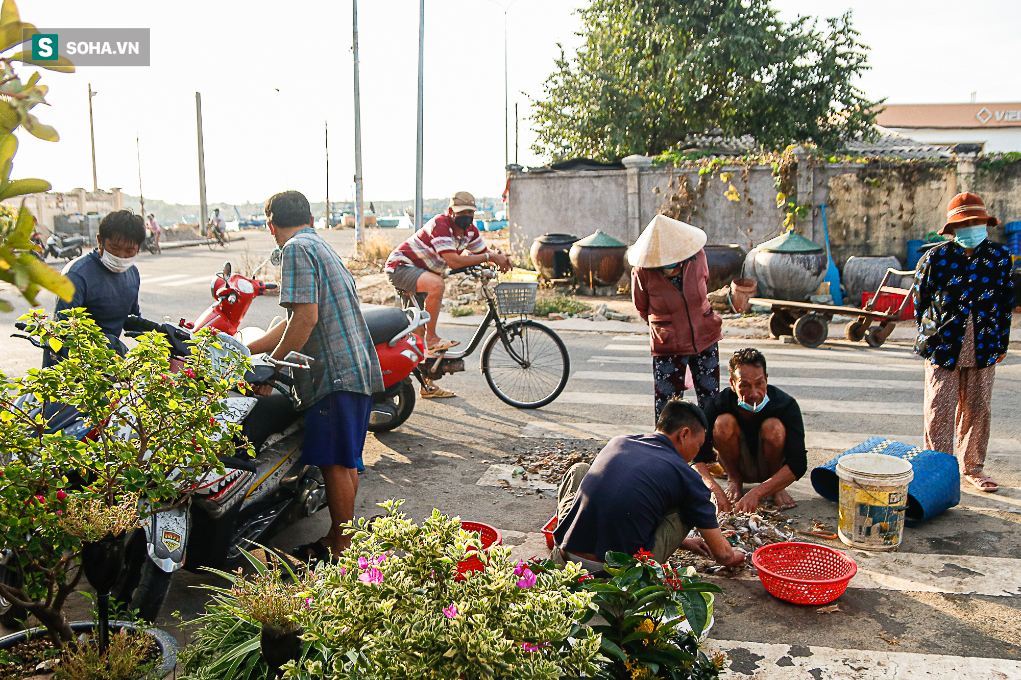 ‘Kiệt sức’ vì Covid-19, ngư dân Bình Thuận liều mình ra khơi giữa mùa biển động - Ảnh 8.