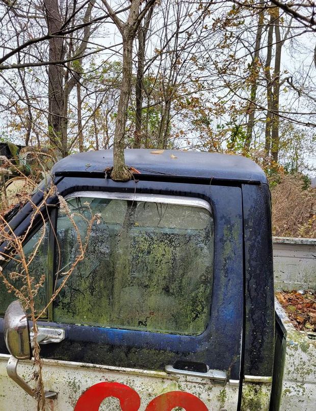 16 hình ảnh thật 100% của Mẹ thiên nhiên mà cứ ngỡ sản phẩm Photoshop - Ảnh 14.