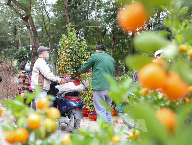  Một quận ở Hà Nội quyết định miễn phí thuê mặt bằng cho người bán hoa, cây cảnh Tết  - Ảnh 1.