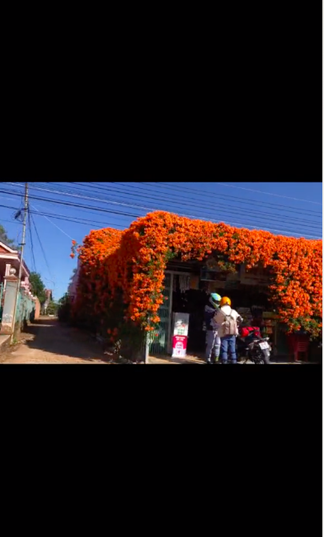  Phát hiện ngôi nhà có giàn hoa lạ đẹp như cực phẩm ngay gần Đà Lạt, xem xong video dân mạng bỗng dấy lên một nỗi sợ - Ảnh 3.