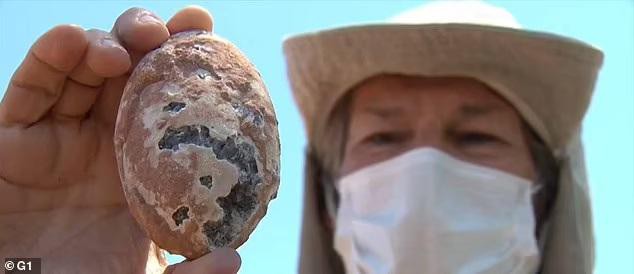 Bí mật bất ngờ từ ổ trứng hóa thạch khủng bị chôn vùi 60 triệu năm trước - Ảnh 2.