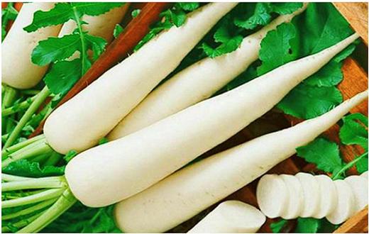 Củ cải trắng giúp tiêu thực, hỗ trợ giảm cân - Ảnh 1.