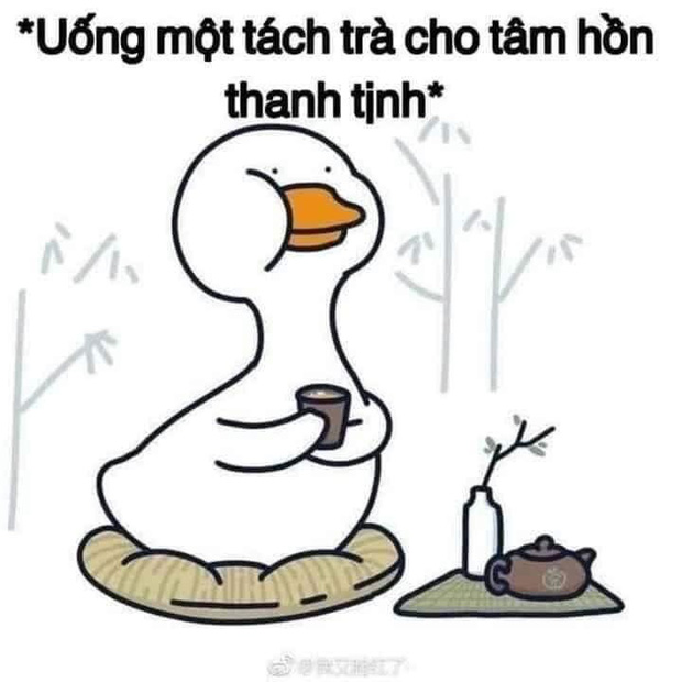 Dân ôm cổ FLC bây giờ: Tầm này mình sống như 1 đoá hoa, chỉ muốn uống ly trà hoa cúc để...  tĩnh tâm lại  - Ảnh 5.