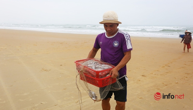 Trúng mùa cá khoai, ngư dân xứ Quảng thu nhập tiền triệu mỗi ngày - Ảnh 9.