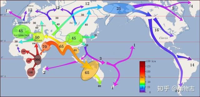 Người Neanderthal có bộ não lớn hơn người Homo sapiens, vậy làm thế nào mà người Homo sapiens đã đánh bại họ? - Ảnh 8.