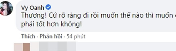  Diệp Lâm Anh ly thân vì có tiểu tam xuất hiện, Vy Oanh chỉ nói đúng 1 câu tỏ rõ thái độ! - Ảnh 1.