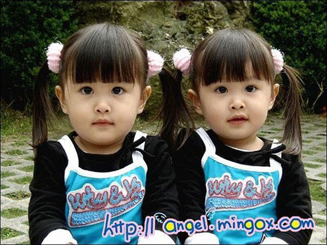Cặp song sinh đẹp nhất Đài Loan, gây bão cả châu Á khi mới 3 tuổi: Học siêu giỏi, ngoại hình hiện tại lột xác đến ngỡ ngàng - Ảnh 2.