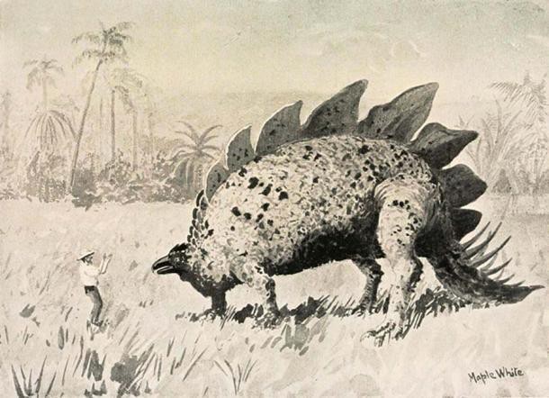 Bí ẩn Đảo trên mây: Thực hư nơi khủng long vẫn tung tăng đi lại - Ảnh 3.