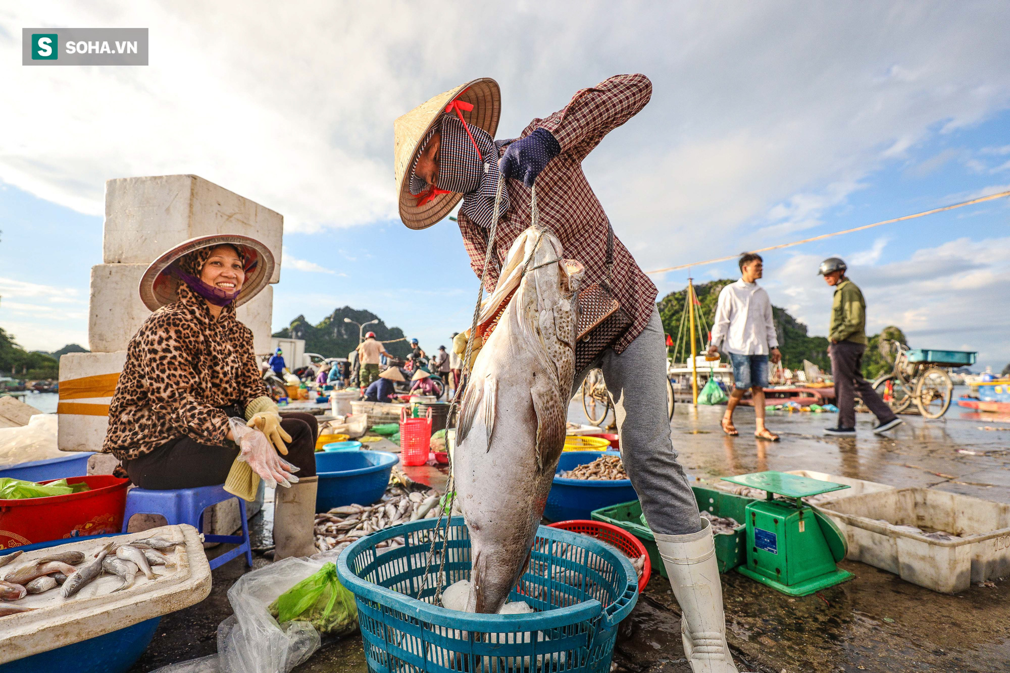 Khám phá bên trong tỉnh Quảng Ninh, nơi giàu có top đầu Việt Nam - cả thế giới mơ ước? - Ảnh 24.