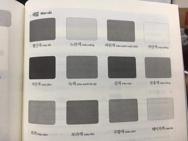 Người Việt học cách phân biệt màu sắc, nhưng nhìn vào quả bảng màu như này thì 99.99% bỏ cuộc ngay thôi! - Ảnh 1.