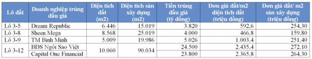  Tay chơi thứ ba trong vụ đấu giá Thủ Thiêm  - Ảnh 1.