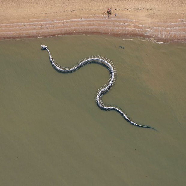 Sởn da gà cảnh rắn biển khổng lồ bò trườn trên mặt nước ở Pháp, biết được sự thật dân mạng ai cũng thốt lên: Tuyệt hảo! - Ảnh 1.