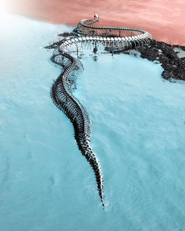 Sởn da gà cảnh rắn biển khổng lồ bò trườn trên mặt nước ở Pháp, biết được sự thật dân mạng ai cũng thốt lên: Tuyệt hảo! - Ảnh 13.