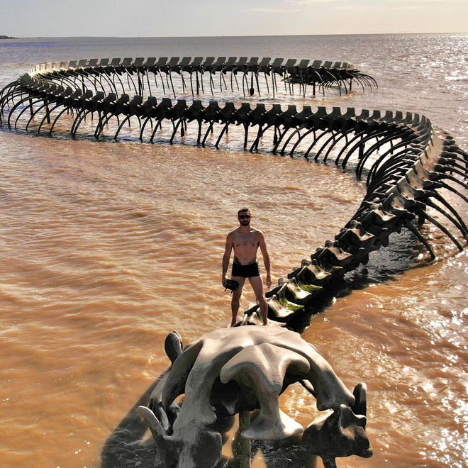 Sởn da gà cảnh rắn biển khổng lồ bò trườn trên mặt nước ở Pháp, biết được sự thật dân mạng ai cũng thốt lên: Tuyệt hảo! - Ảnh 8.