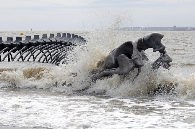 Sởn da gà cảnh rắn biển khổng lồ bò trườn trên mặt nước ở Pháp, biết được sự thật dân mạng ai cũng thốt lên: Tuyệt hảo! - Ảnh 11.