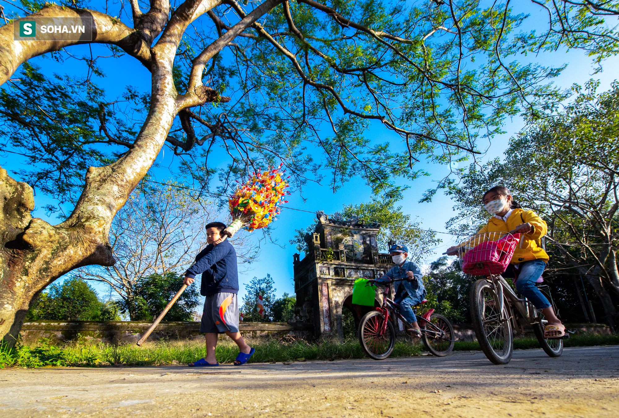 Hoa giấy chơi Tết cả triệu đồng mỗi cây, nghệ nhân làm đêm ngày vẫn không đủ hàng bán - Ảnh 8.