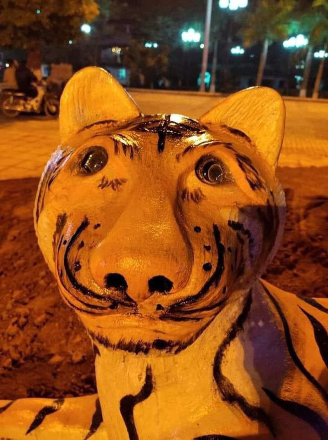  Lại xuất hiện những chú hổ linh vật đến từ Tây Nguyên gây bão MXH, biểu cảm khiến netizen cười ngặt nghẽo - Ảnh 7.