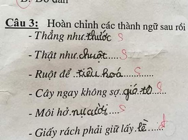 Học trò lớp 1 điền thành ngữ làm ai nấy cười nắc nẻ, thầy cô gặp cảnh này cũng khóc thét thôi chứ chấm gì nổi - Ảnh 2.