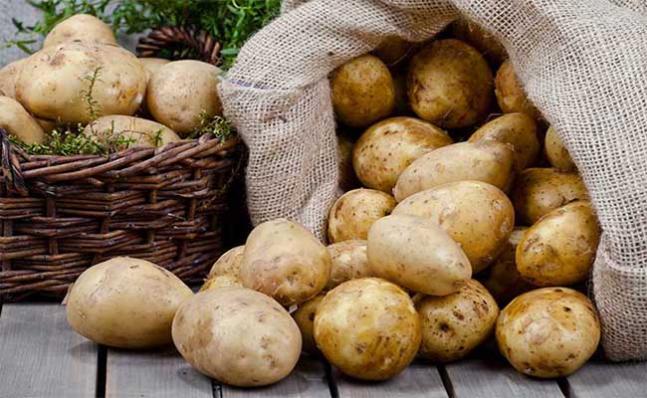 Củ khoai tây, không chỉ chế biến món ăn ngon mà còn là vị thuốc chữa bệnh - Ảnh 1.