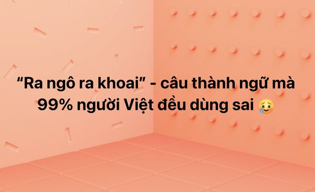 Có một câu thành ngữ ai cũng dùng hằng ngày nhưng đến 99% người dùng sai, nghe câu đúng mà lạ quá chừng! - Ảnh 1.