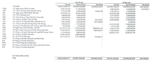  Rút tiền gửi, đầu tư chứng khoán: Một doanh nghiệp BĐS sở hữu hàng trăm tỷ đồng cổ phiếu SHB và TCB, danh mục có cả FLC và VHM  - Ảnh 1.