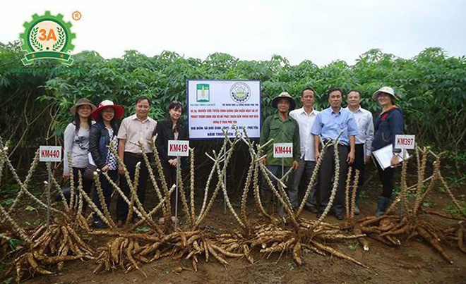 Xuất hiện 1 loài cây đột biến to khủng khiếp ai nhìn cũng choáng ở Việt Nam, nhiều tay chơi mạnh miệng trả giá 10 tỷ! - Ảnh 5.