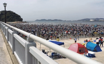 Hàng ngàn người Nhật Bản chen chúc kín bờ biển, họ đang định làm gì?
