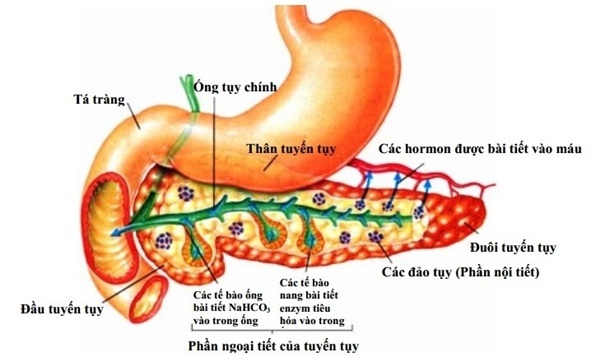 Coi chừng mất Tết vì thức uống quen thuộc của người Việt - Ảnh 3.