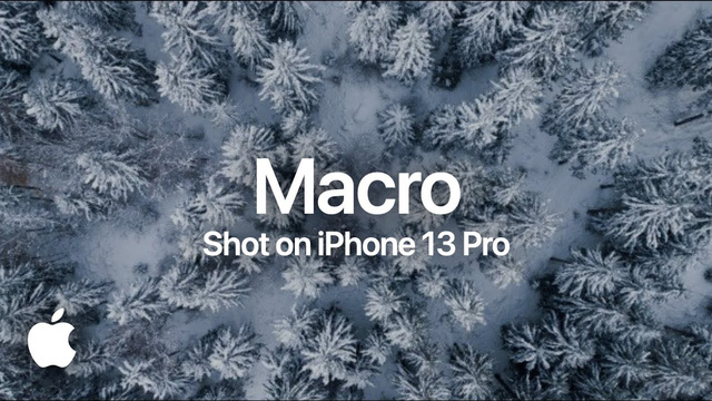 Apple khoe ảnh chụp macro cực xịn xò trên iPhone, thế này mới gọi là macro chứ! - Ảnh 16.