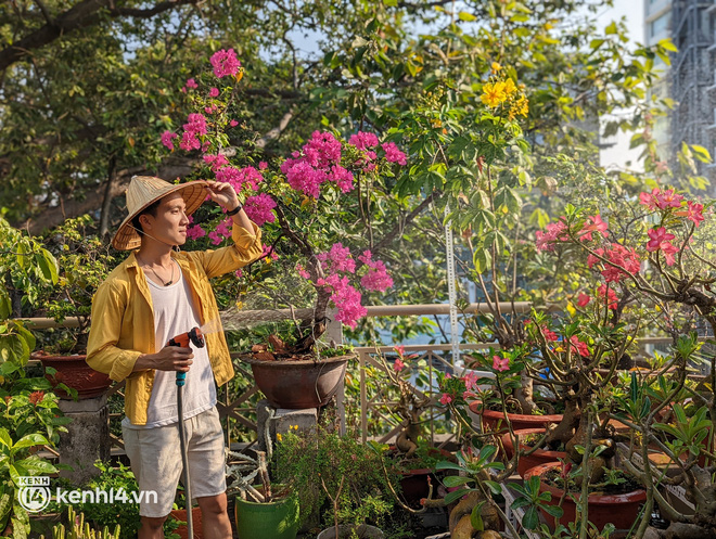 Chàng kiến trúc sư trẻ biến sân thượng thuê trọ thành vườn cây trái sum suê, nổi bật giữa trung tâm Sài Gòn - Ảnh 8.